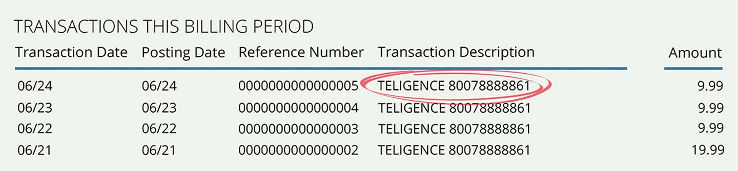 Sample of billing statement